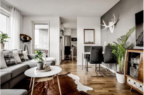 生动鲜明的灰色北欧公寓室内空间设计